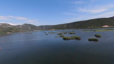 Vahşi hayattan nefes kesici bir manzara. FPV hızlı bir şekilde göl boyunca uçuyor, parlak mavi gökyüzü arka planda güneşli bir yaz günü.