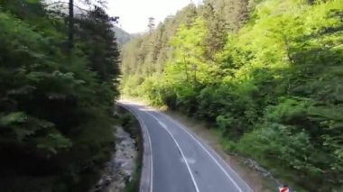 Ormandaki ağaç tepeleri ve kıvrımlı kır yolundaki aşırı uçuş. Fpv spor insansız hava aracı güneşli arazide dağ yamacı ve kır yolu ile hava görüntüsü. Dinamik sinematik görünüm. 