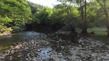 FPV Aerial yoğun yeşil orman ve hızlı hareket içinde doğal peyzaj nehir kanyonunda uçan dinamikleri çekti. Fpv helikopterinden çekiliyor..