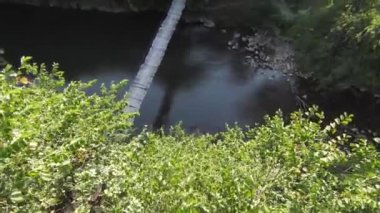 FPV Aerial yoğun yeşil orman ve hızlı hareket içinde doğal peyzaj nehir kanyonunda uçan dinamikleri çekti. Fpv helikopterinden çekiliyor..