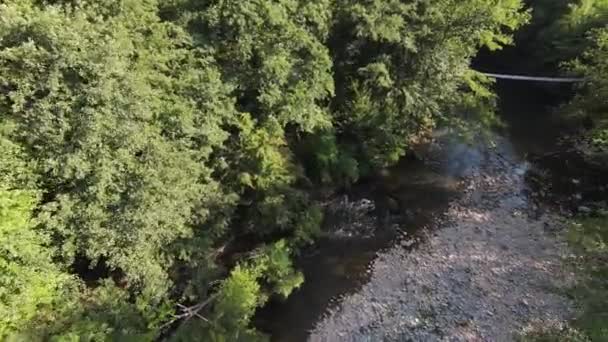 FPV Luftaufnahmen dynamisches Fliegen in der natürlichen Landschaft Flussschlucht im dichten grünen Wald und schnelle Bewegung. Schießen aus dem fpv Hubschrauber Low Key Szenerie. — Stockvideo