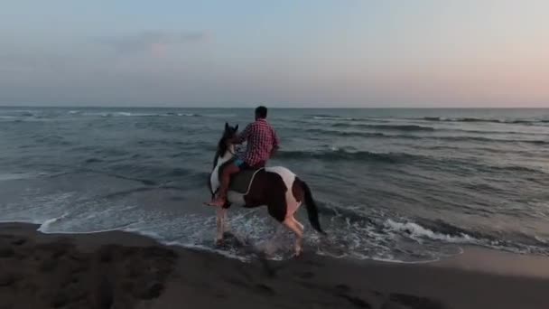 Ridning på en tropisk strand längs havskusten. Unga skickliga ryttare rör sig mot den vackra solnedgången. Exotisk sandstrand på en tropisk kust. — Stockvideo