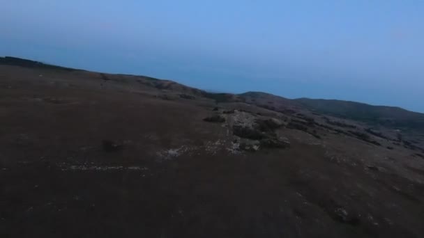 Χαμηλή κλειδί Εναέρια fpv drone πυροβολισμό ενός κοπαδιού των άγριων αλόγων τρέχει σε ένα πράσινο πεδίο άνοιξη στο ηλιοβασίλεμα. — Αρχείο Βίντεο