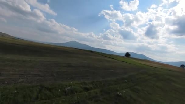 Volando por el prado verde, cerca de la hierba y el follaje de los árboles — Vídeos de Stock