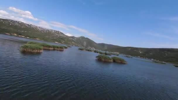 Impresionante paisaje de la vida silvestre. FPV vuelo rápido aéreo a lo largo del lago, cielos azules brillantes en el fondo un día de verano soleado. — Vídeo de stock