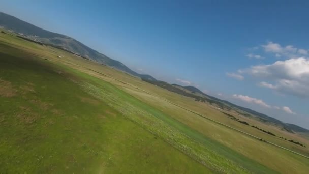 Voler le long de la prairie verte, près de l'herbe et du feuillage des arbres — Video