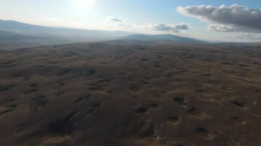 Güzel yaz günbatımında bir tarlada koşan vahşi at sürüsünün etrafında uçan ve kovalayan bir FPV drone görüntüsü.. 