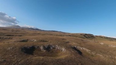 Güzel yaz günbatımında bir tarlada koşan vahşi at sürüsünün etrafında uçan ve kovalayan bir FPV drone görüntüsü.. 