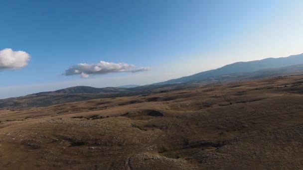 Aerea FPV drone colpo di un inseguimento e volare vicino intorno mandria di cavalli selvatici in esecuzione su un campo al bellissimo tramonto estivo. — Video Stock