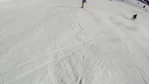 Ski sport man — Stockvideo