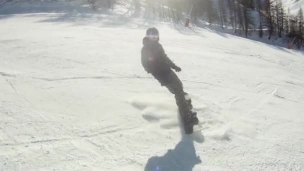 Лыжник — стоковое видео