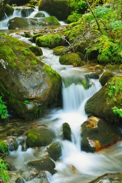 Montanha paisagem florestal — Fotografia de Stock