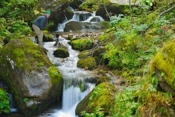 Horský Lesní krajina — Stock fotografie