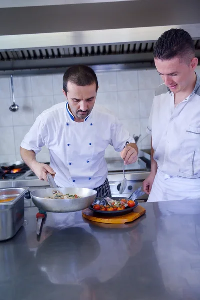 Deux chefs avec repas de poisson dans la cuisine moderne — Photo