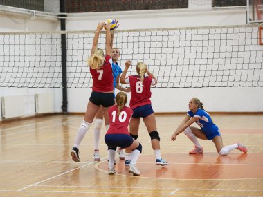 Group of young beautiful girls playing Volleyball clipart