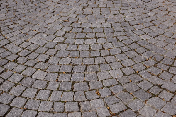 Calle con baldosas de piedra —  Fotos de Stock