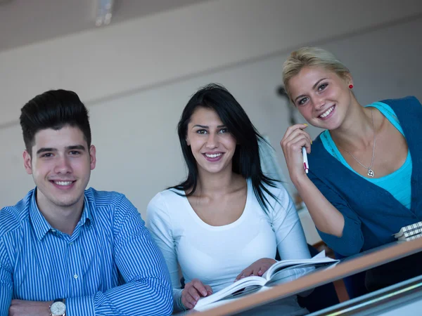 Skupina studentů studujících — Stock fotografie