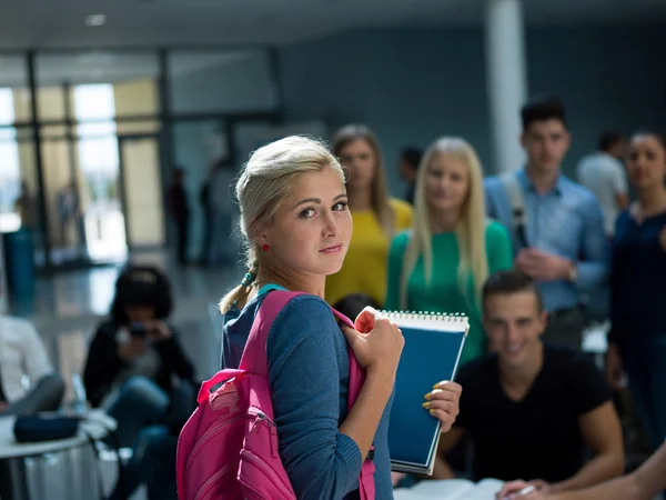 Grupo de estudiantes que estudian — Foto de Stock