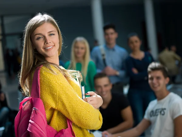 Grupo de estudiantes que estudian — Foto de Stock