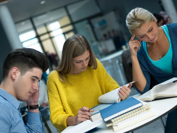 Group of Students studying Royalty Free Stock Photos