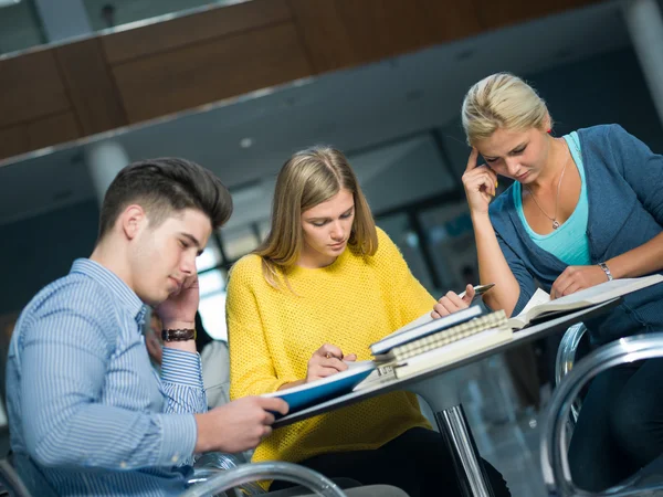 Gruppo di studenti studiando — Foto Stock