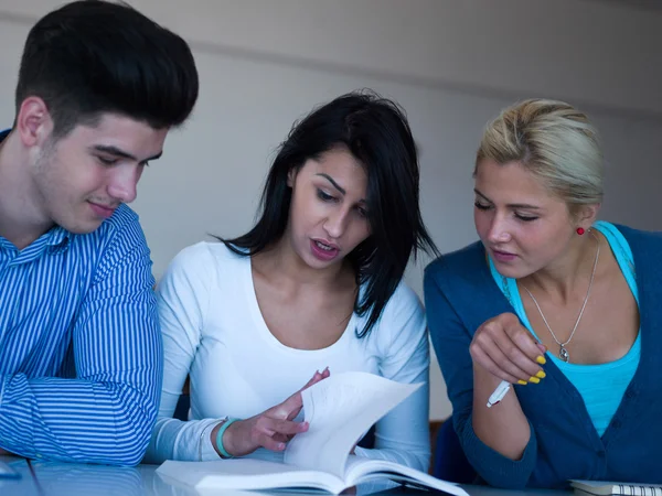 Gruppo di studenti studiando — Foto Stock