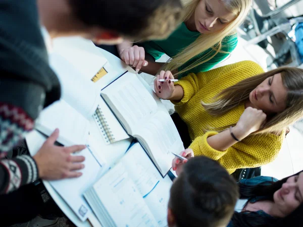 Grupo de estudiantes que estudian — Foto de Stock