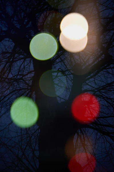 抽象树灯和双曝光 — 图库照片