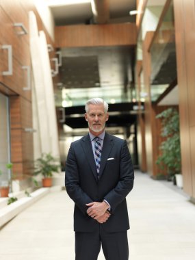 üst düzey işadamı portresi