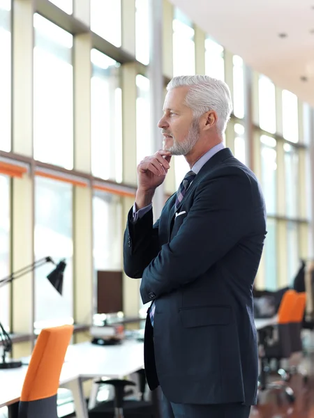 Senior businessman portrait — Stock Photo, Image