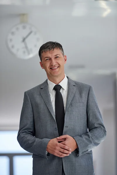 Retrato de hombre de negocios de mediana edad — Foto de Stock