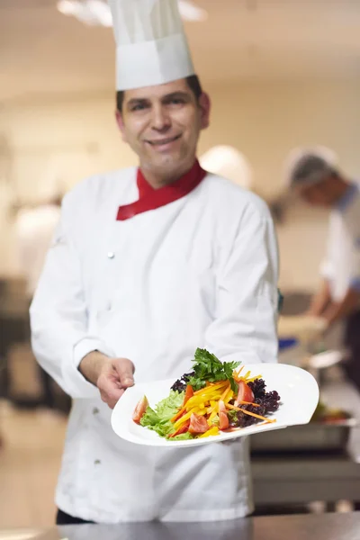 酒店厨房查看 美味的蔬菜和肉的厨师 — 图库照片