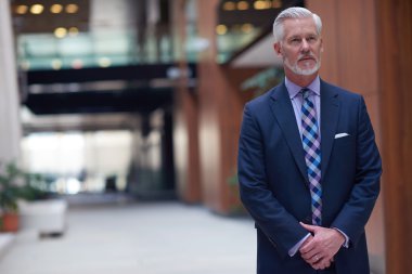 üst düzey işadamı portresi