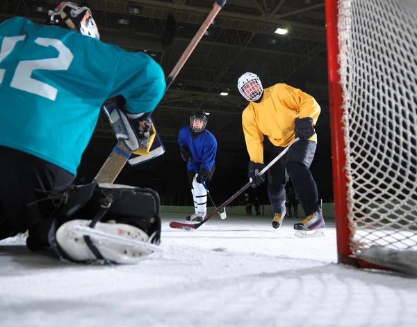 Portero de hockey sobre hielo — Foto de Stock