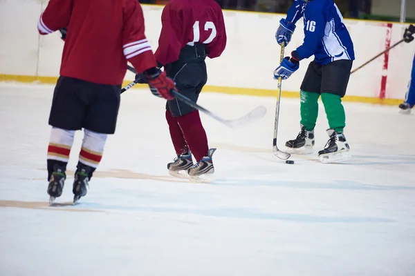 Jugadores de hockey sobre hielo — Foto de Stock