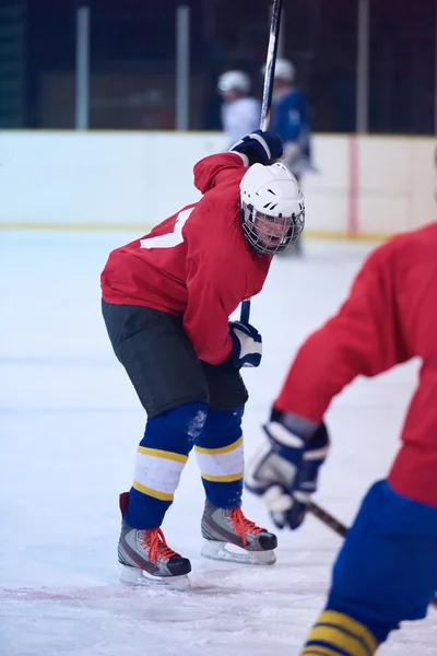 Jugadores de hockey sobre hielo — Foto de Stock