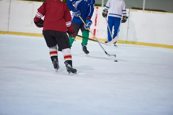 Ice hockey sport players — Stock Photo, Image
