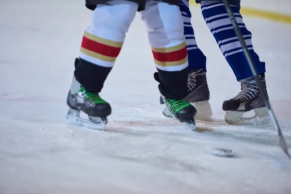 Ice hockey sport players — Stock Photo, Image