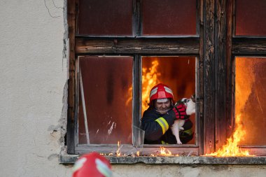 Bir itfaiyeci, bir kediyi yanan bir binadan kurtarırken görülüyor. Yüksek riskli bir durumda cesaret ve adanmışlık sergiliyor. Bu görüntü bir acil durum tepkisinin yoğunluğunu ve aciliyetini yakalar.