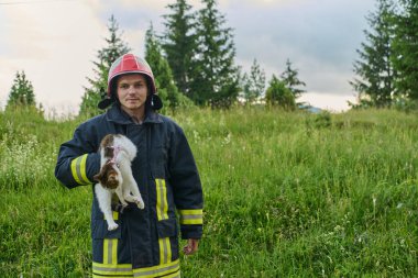 Bir itfaiyeci hasarlı bir binadan bir kediyi kurtarır. Cesur kurtarıcı bir kask ve üniforma giyiyor. Hayvana şefkat ve ilgi gösteriyor. Kahramanlık ve hayvan temalarını resmetmek için mükemmel.