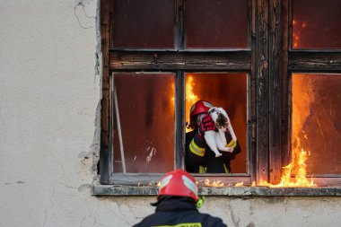 Bir itfaiyeci, bir kediyi yanan bir binadan kurtarırken görülüyor. Yüksek riskli bir durumda cesaret ve adanmışlık sergiliyor. Bu görüntü bir acil durum tepkisinin yoğunluğunu ve aciliyetini yakalar.