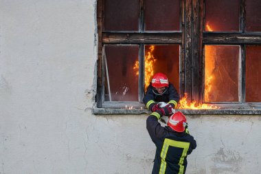 Bir itfaiyeci, bir kediyi yanan bir binadan kurtarırken görülüyor. Yüksek riskli bir durumda cesaret ve adanmışlık sergiliyor. Bu görüntü bir acil durum tepkisinin yoğunluğunu ve aciliyetini yakalar.