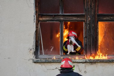 Bir itfaiyeci, bir kediyi yanan bir binadan kurtarırken görülüyor. Yüksek riskli bir durumda cesaret ve adanmışlık sergiliyor. Bu görüntü bir acil durum tepkisinin yoğunluğunu ve aciliyetini yakalar.