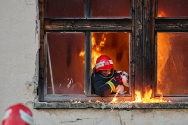Bir itfaiyeci, bir kediyi yanan bir binadan kurtarırken görülüyor. Yüksek riskli bir durumda cesaret ve adanmışlık sergiliyor. Bu görüntü bir acil durum tepkisinin yoğunluğunu ve aciliyetini yakalar.