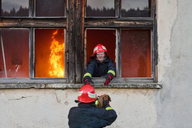 Bir itfaiyeci yanan bir binadan bir bebeği kurtarıyor. İtfaiyeci harekete geçti, çocuğu acil durumdan kurtardı. Bu görüntü cesaret ve kurtarma temalarını göstermek için kullanılabilir.