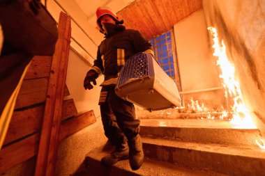 Bir bina yangını sırasında portatif bir kafeste kurtarılan kediyi taşıyan cesur itfaiyeci hem insan hem de hayvanın hayatını kurtarma cesaretini, şefkatini ve bağlılığını simgeliyor.