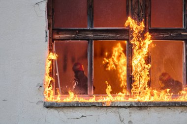 Bir itfaiyeci yanan bir binadan bir bebeği kurtarıyor. İtfaiyeci harekete geçti, çocuğu acil durumdan kurtardı. Bu görüntü cesaret ve kurtarma temalarını göstermek için kullanılabilir.