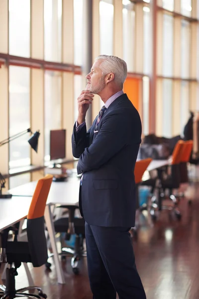 Porträt eines leitenden Geschäftsmannes — Stockfoto