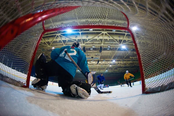 Ice hockey keeper — Stockfoto