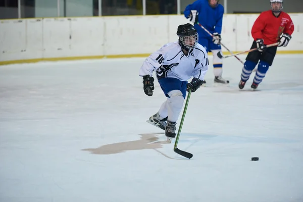 Jugadores de hockey sobre hielo —  Fotos de Stock